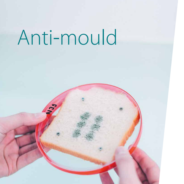 Learn more about mold ?
