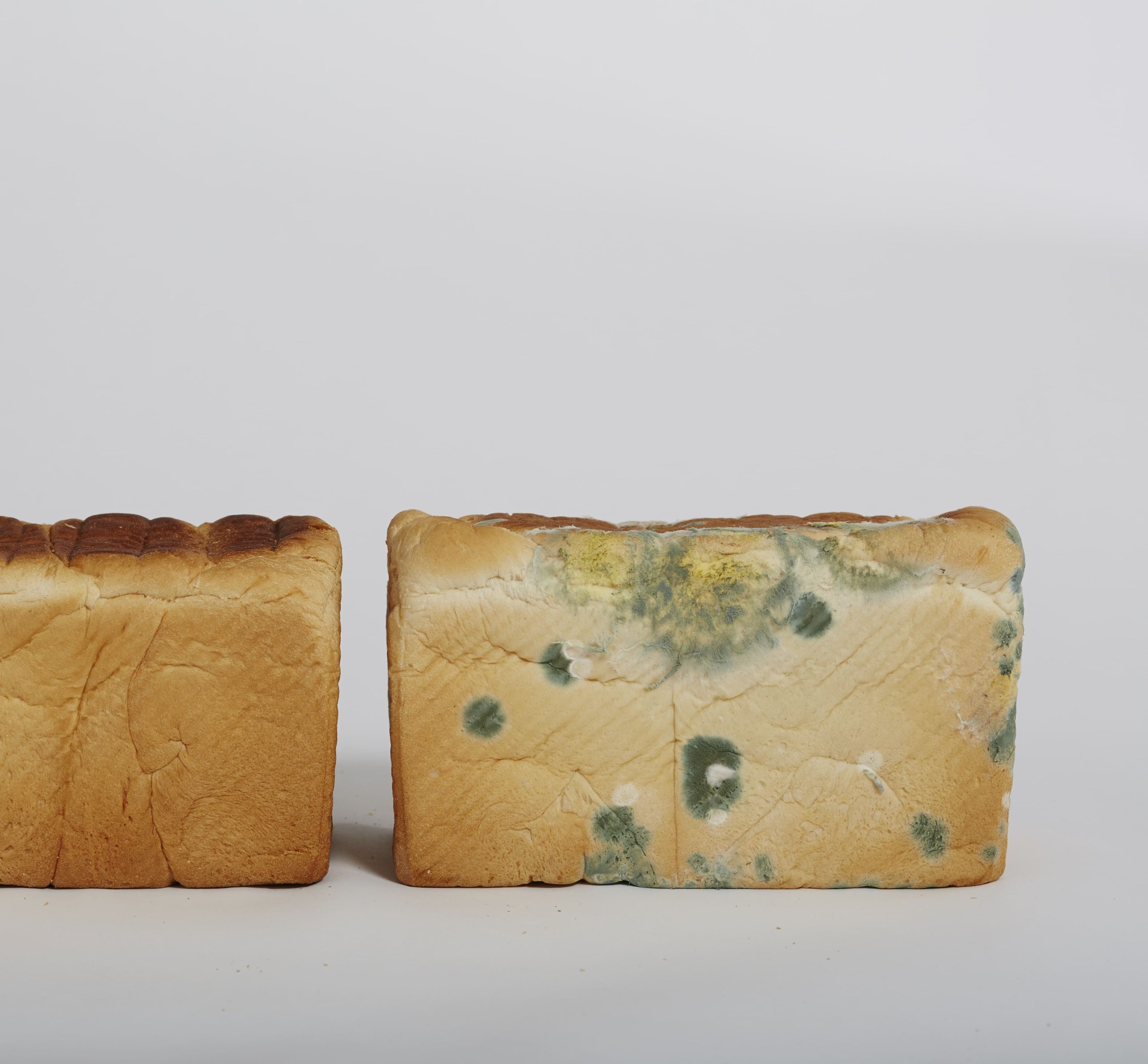 Anti-mold, long Shelf life