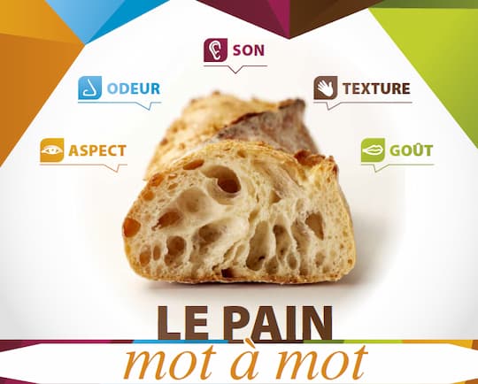 Le pain mot à mot – Sensory analysis