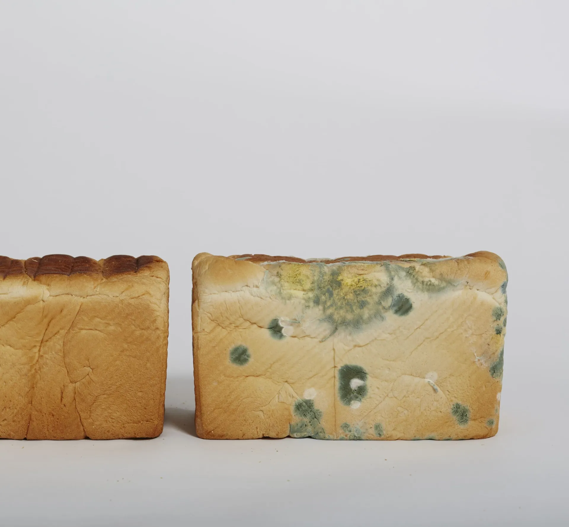 ANTIMOLD & Longue conservation