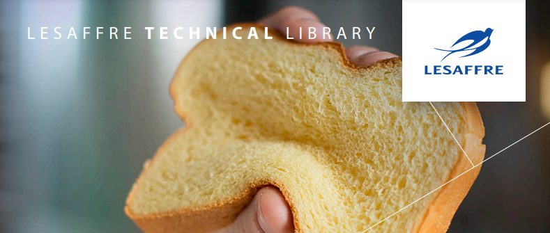 Improving and maintaining softness in breadmaking